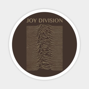Joy Division Distressed Magnet